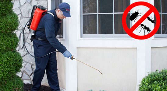 Yakutiye Böcek İlaçlama böcek ilaçlama ve haşere kontrolü — ilaclama-tr.com